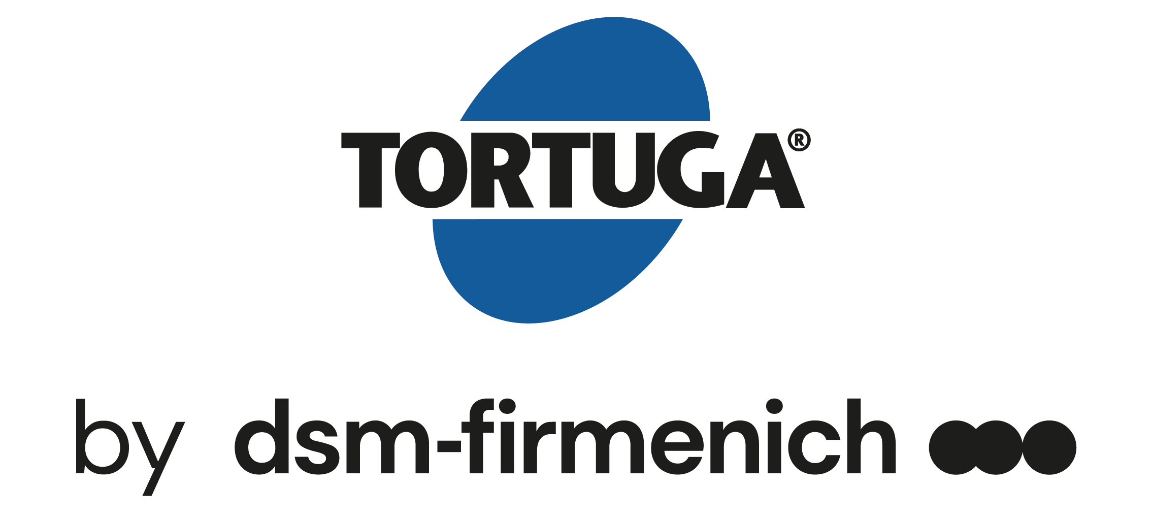 DSM Tortuga