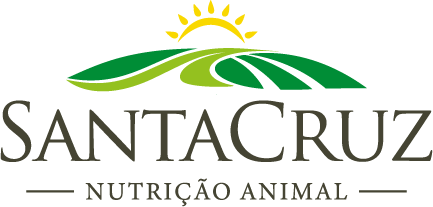 SANTA CRUZ