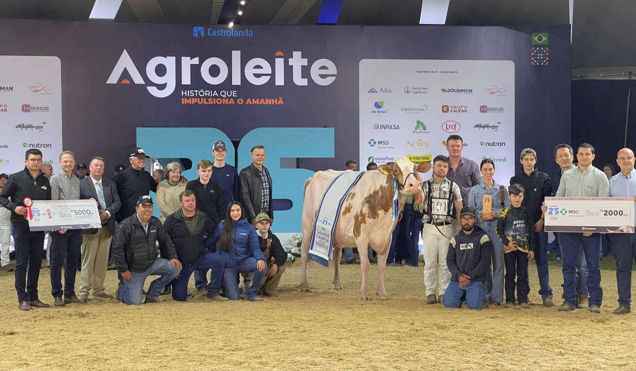 Eleita grande campeã do gado holandês Vermelha e Branca na 25ª Agroleite  
