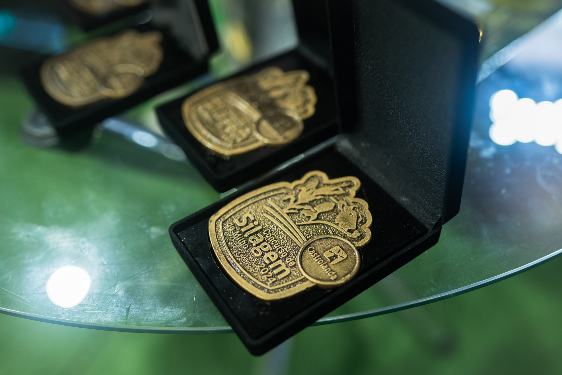 Agroleite sedia etapa Castrolanda do Concurso de Silagem  