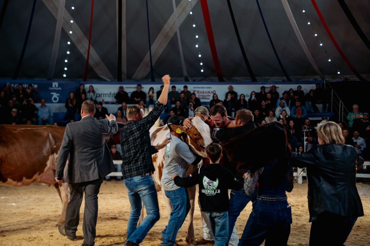 Bicampeã da Holandesa Vermelho e Branca é destaque nos julgamentos do Agroleite 2026