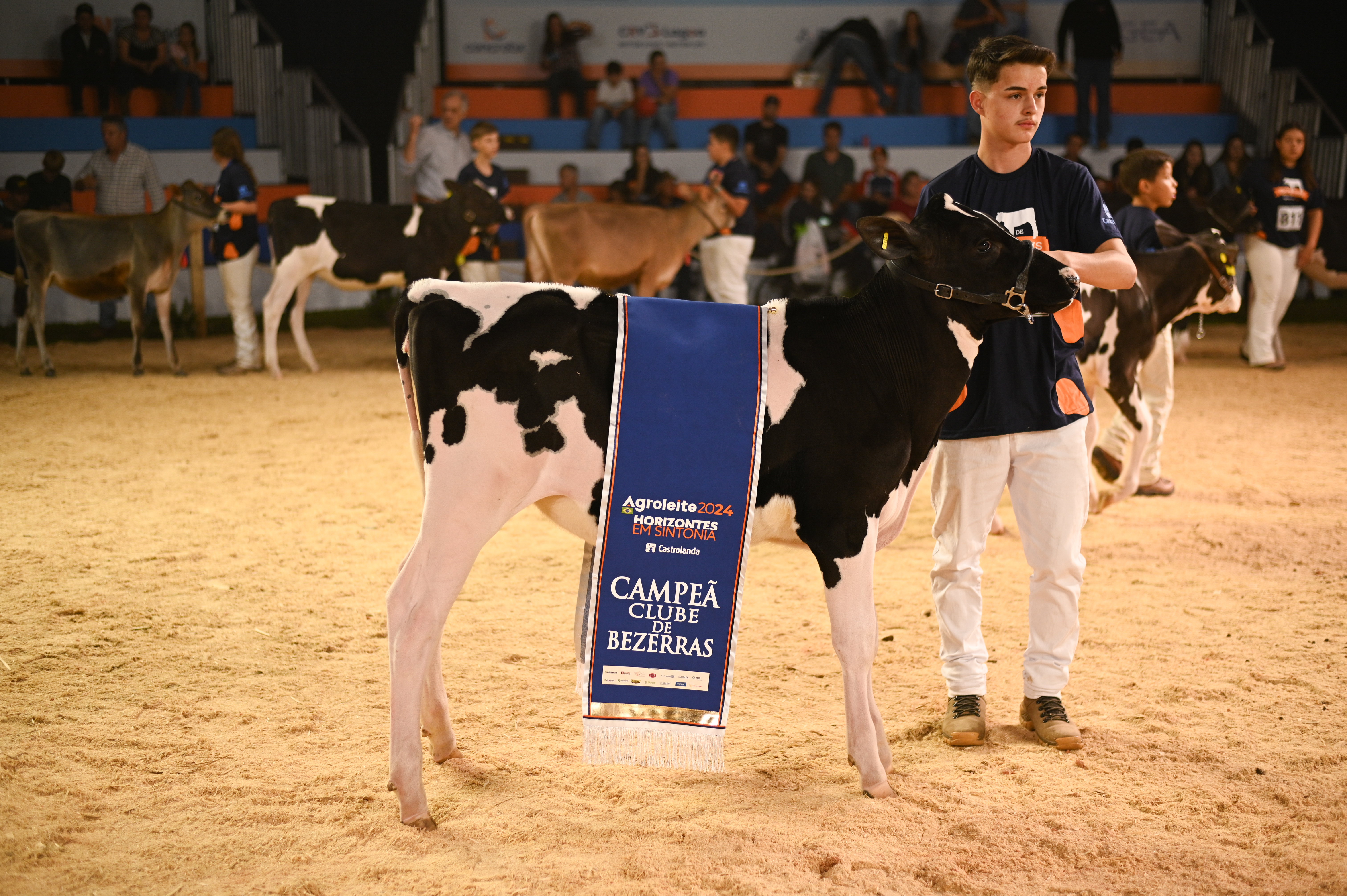 Clube de Bezerras promove sucessão familiar e engajamento das crianças no Agroleite 2024