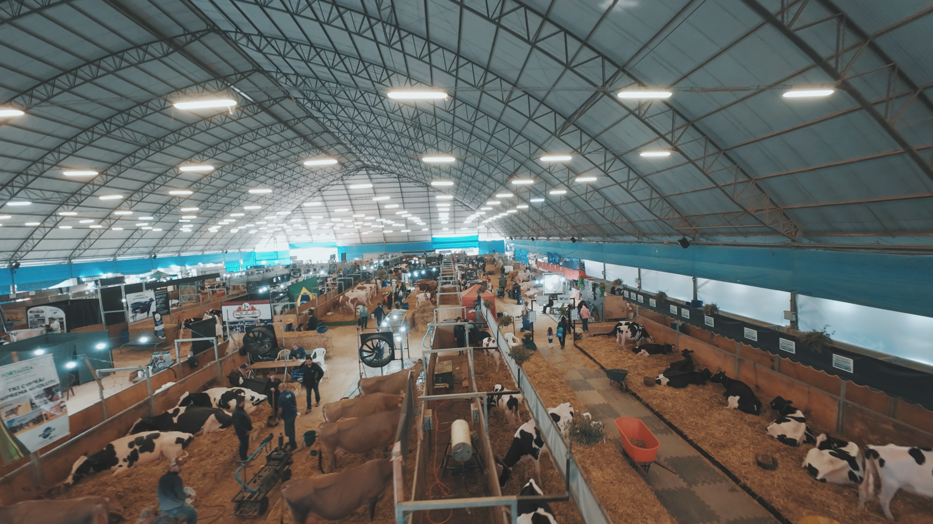 Raças Holandesa e Jersey abrem inscrições de animais para o Agroleite 2026